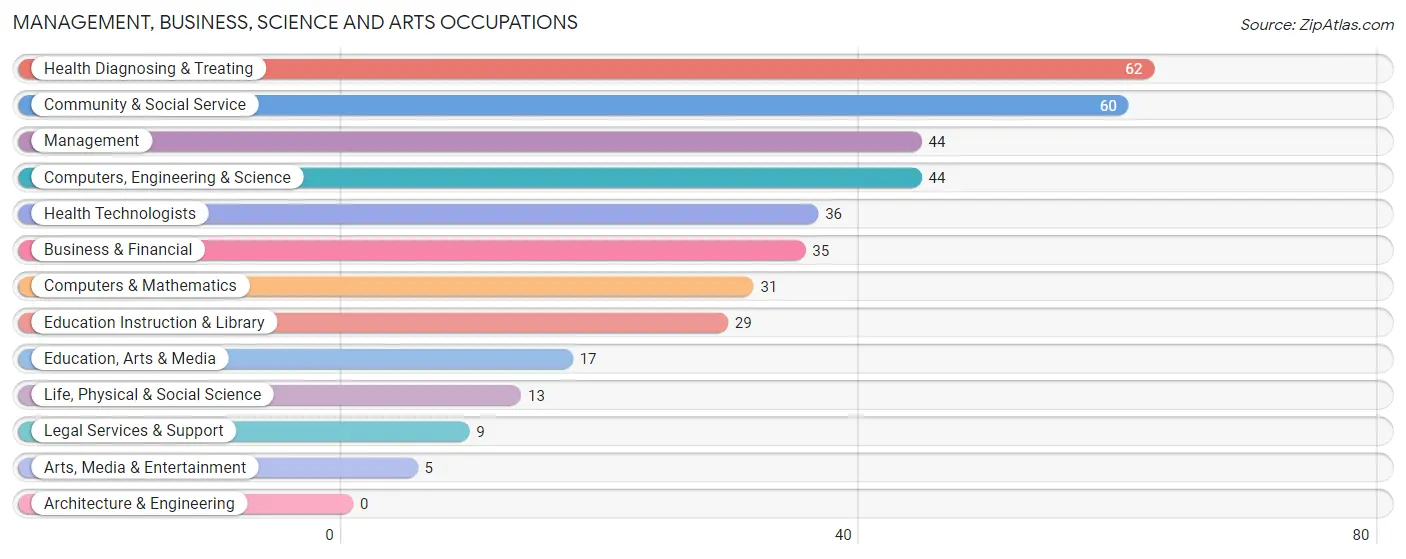 Management, Business, Science and Arts Occupations in Southern View