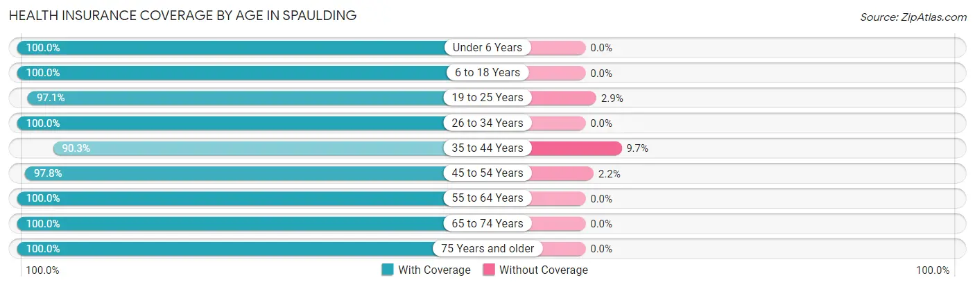 Health Insurance Coverage by Age in Spaulding