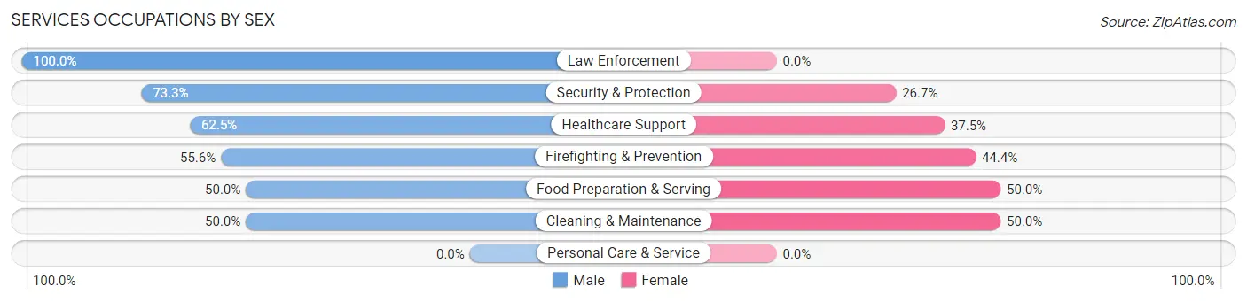 Services Occupations by Sex in Spillertown