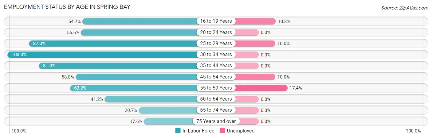 Employment Status by Age in Spring Bay