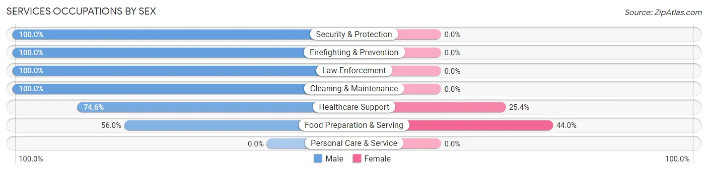 Services Occupations by Sex in Spring Grove