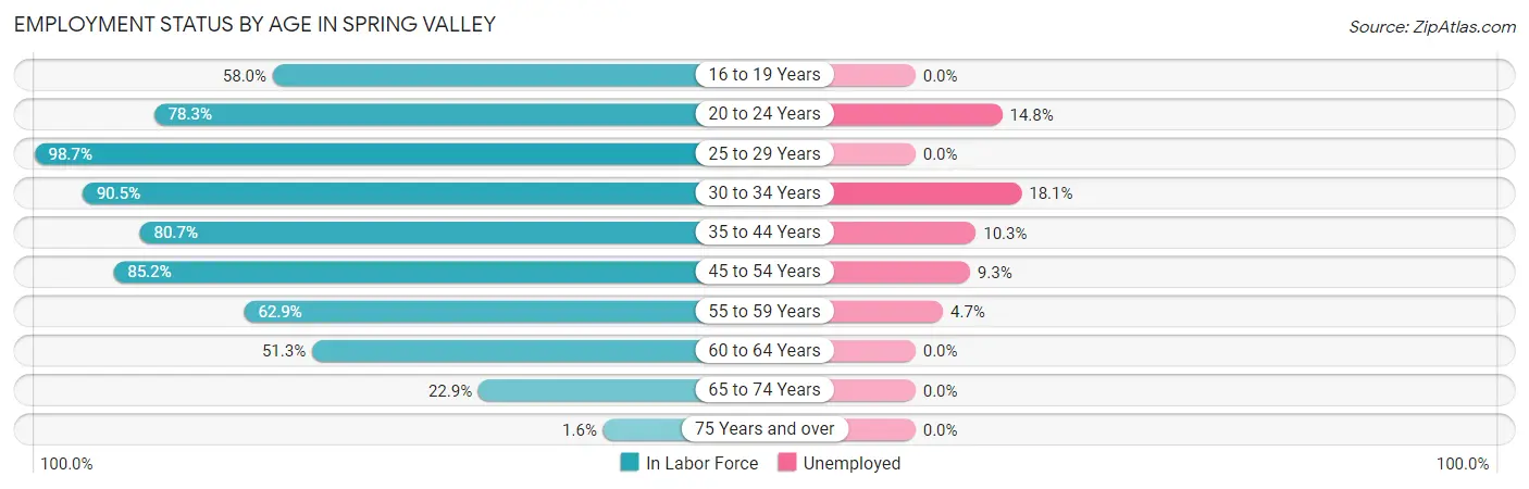 Employment Status by Age in Spring Valley