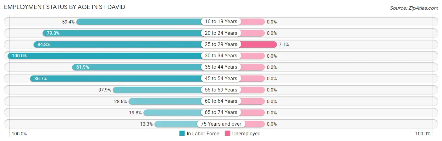 Employment Status by Age in St David
