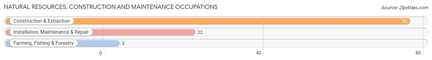 Natural Resources, Construction and Maintenance Occupations in St Jacob