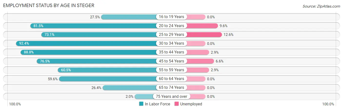 Employment Status by Age in Steger