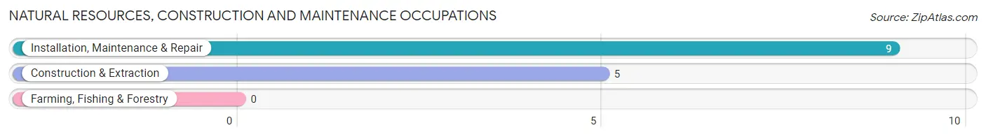 Natural Resources, Construction and Maintenance Occupations in Steward