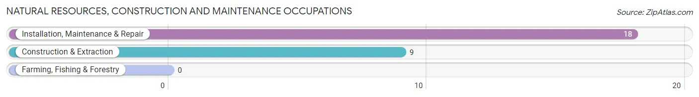 Natural Resources, Construction and Maintenance Occupations in Stillman Valley