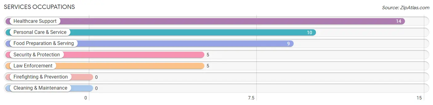 Services Occupations in Summerfield