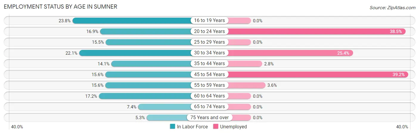 Employment Status by Age in Sumner