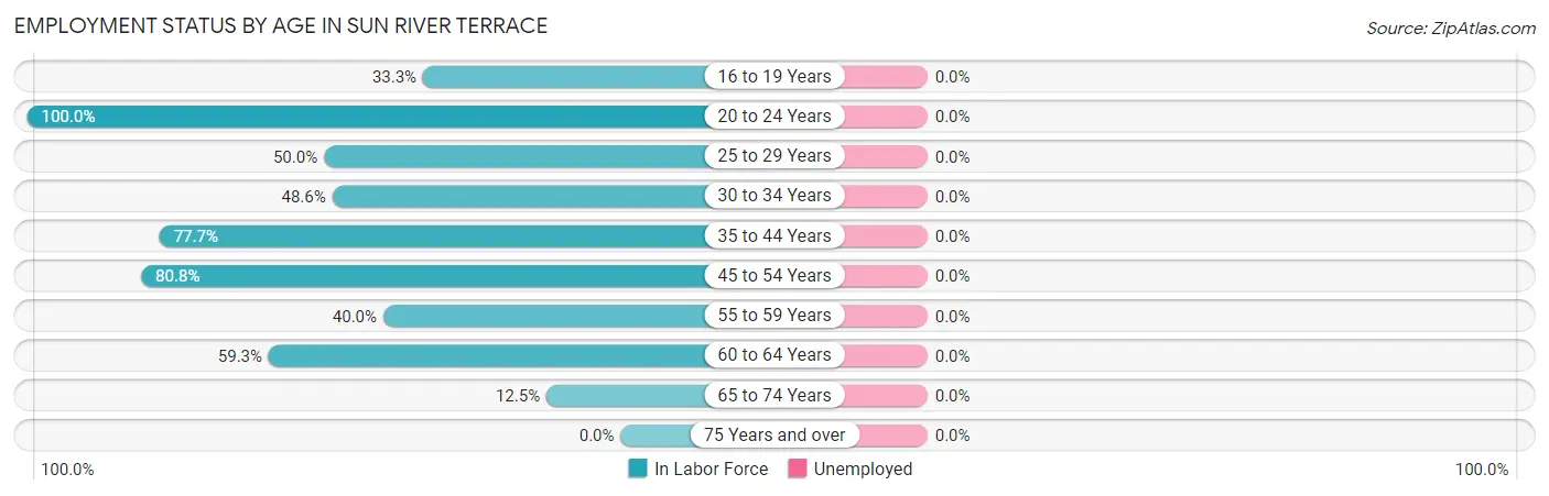 Employment Status by Age in Sun River Terrace