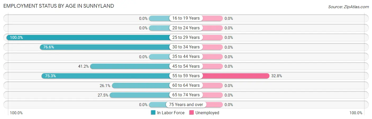 Employment Status by Age in Sunnyland