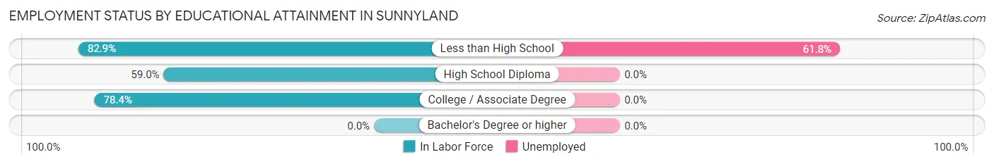 Employment Status by Educational Attainment in Sunnyland