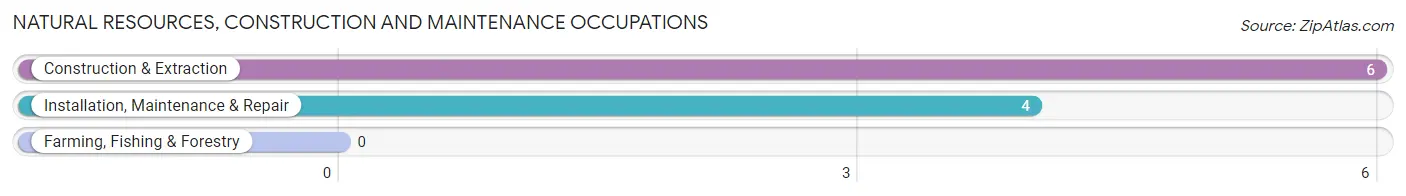 Natural Resources, Construction and Maintenance Occupations in Symerton