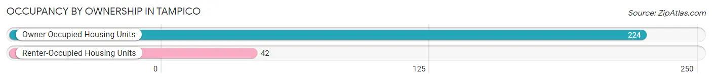 Occupancy by Ownership in Tampico