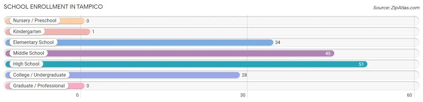 School Enrollment in Tampico