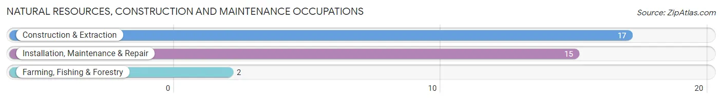 Natural Resources, Construction and Maintenance Occupations in Taylor Springs