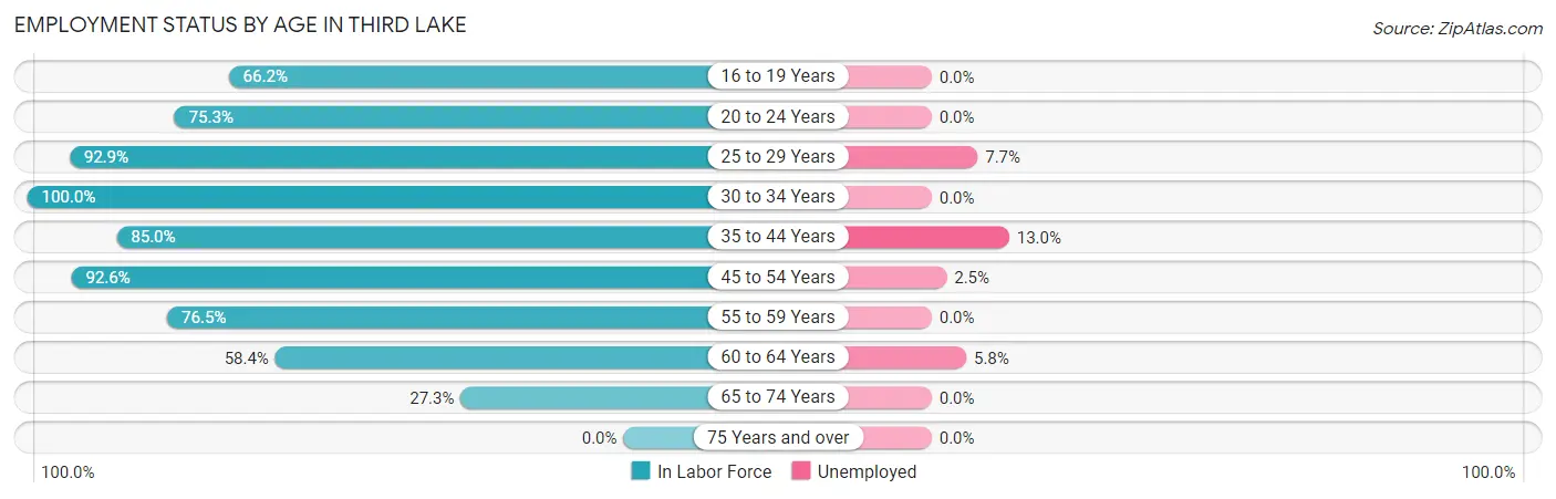 Employment Status by Age in Third Lake