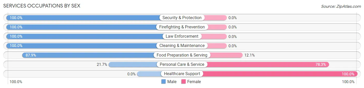 Services Occupations by Sex in Third Lake