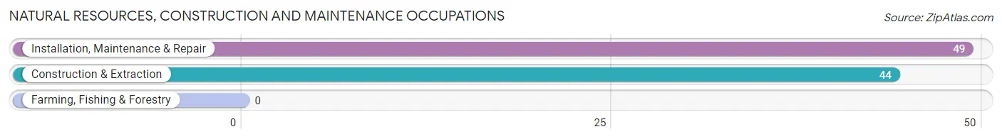 Natural Resources, Construction and Maintenance Occupations in Thornton