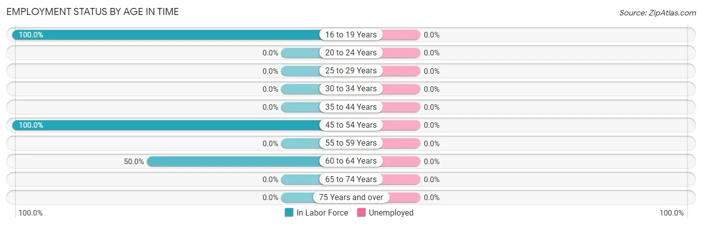 Employment Status by Age in Time