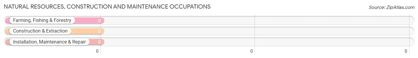 Natural Resources, Construction and Maintenance Occupations in Time