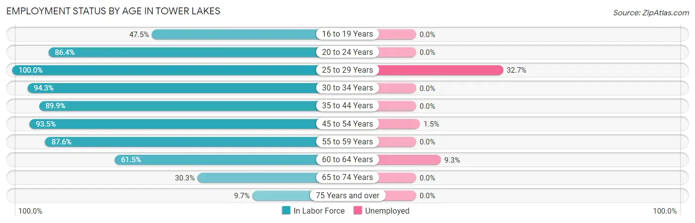 Employment Status by Age in Tower Lakes