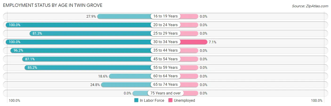 Employment Status by Age in Twin Grove