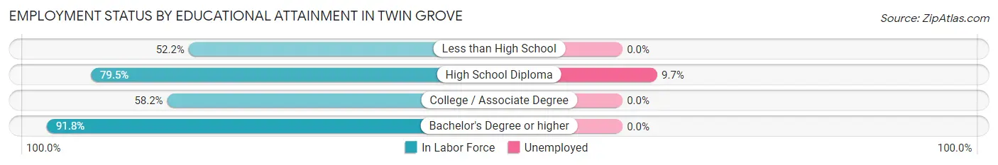Employment Status by Educational Attainment in Twin Grove