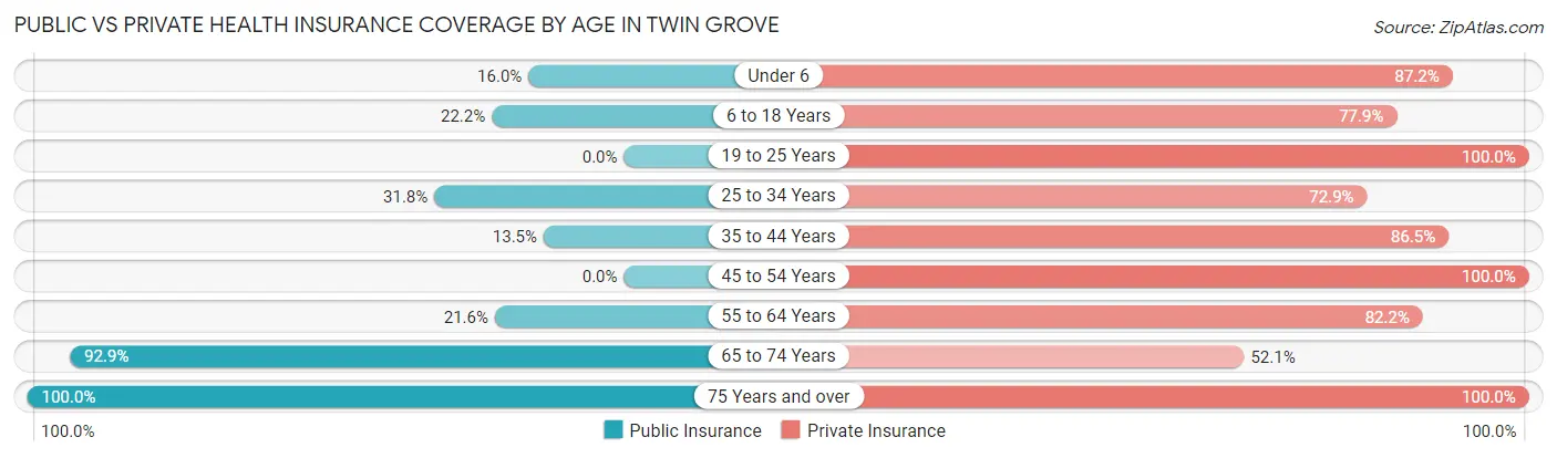 Public vs Private Health Insurance Coverage by Age in Twin Grove