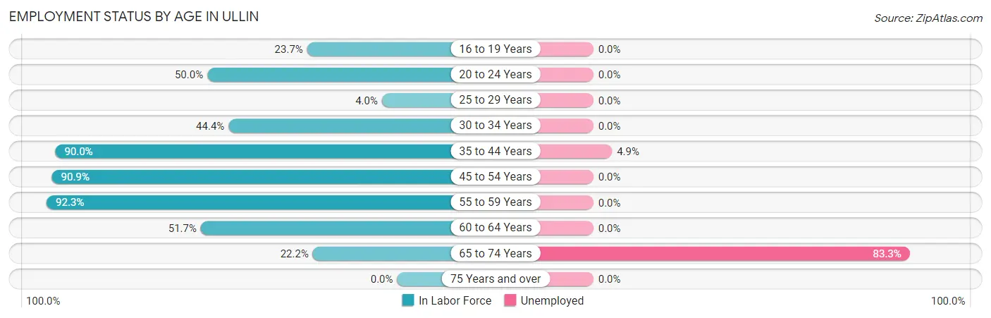Employment Status by Age in Ullin