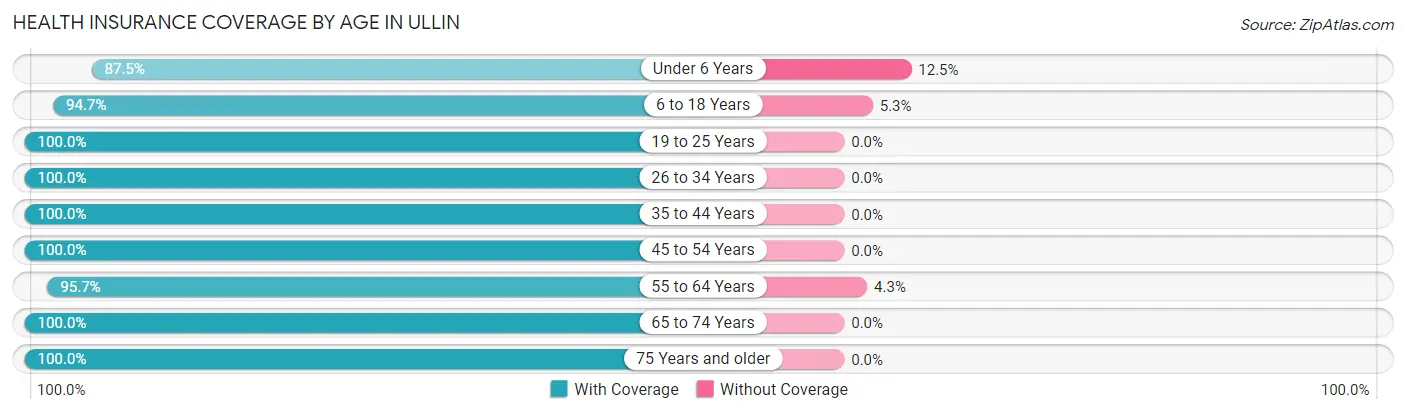 Health Insurance Coverage by Age in Ullin