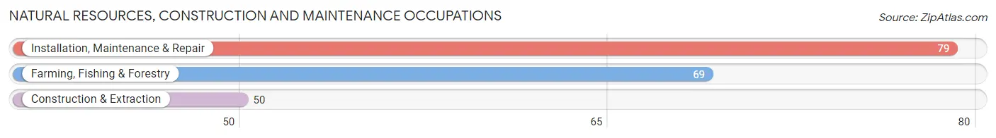 Natural Resources, Construction and Maintenance Occupations in Vandalia