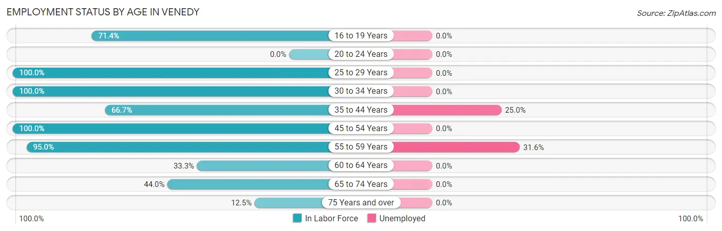 Employment Status by Age in Venedy