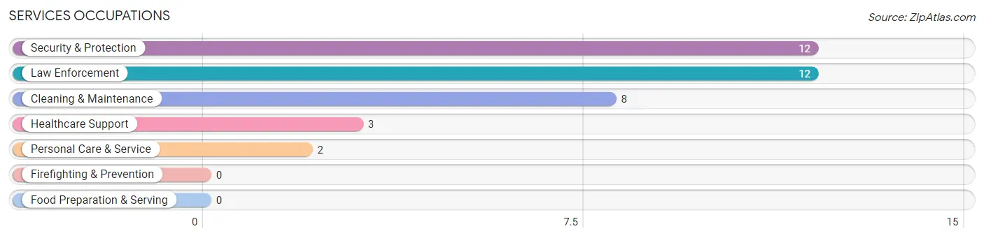 Services Occupations in Vergennes