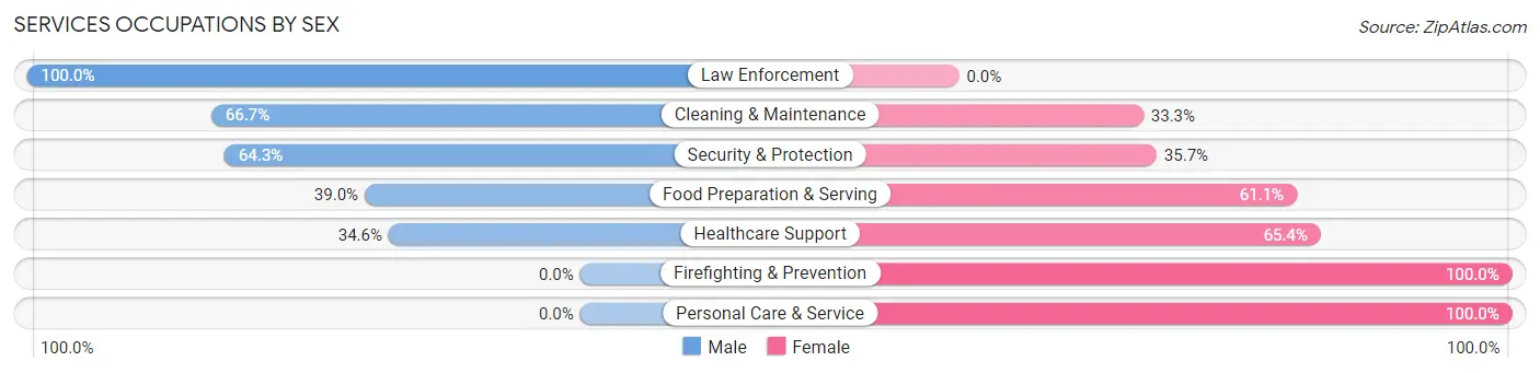Services Occupations by Sex in Villa Grove