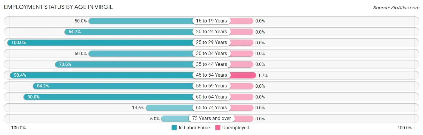 Employment Status by Age in Virgil
