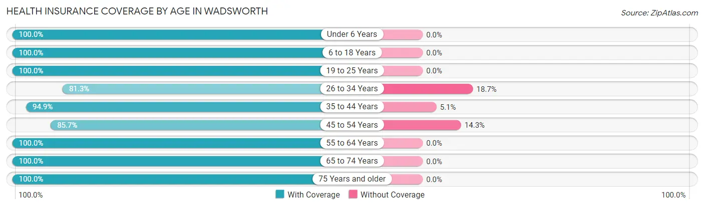 Health Insurance Coverage by Age in Wadsworth
