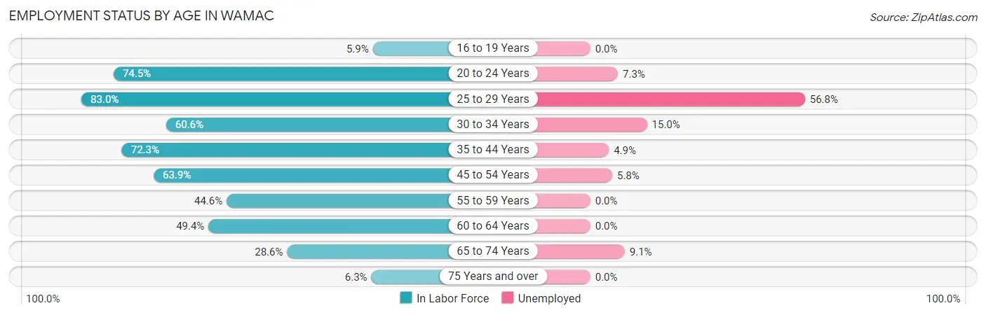 Employment Status by Age in Wamac