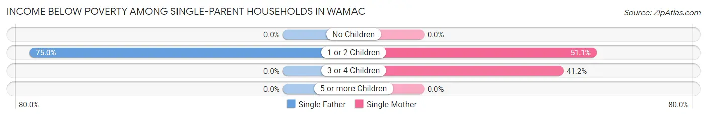 Income Below Poverty Among Single-Parent Households in Wamac