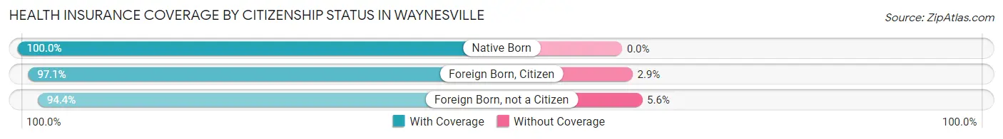 Health Insurance Coverage by Citizenship Status in Waynesville