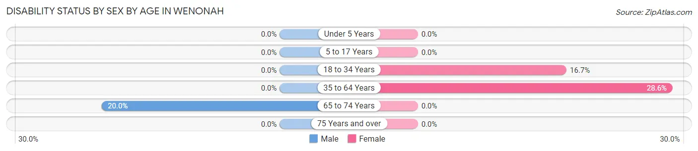 Disability Status by Sex by Age in Wenonah