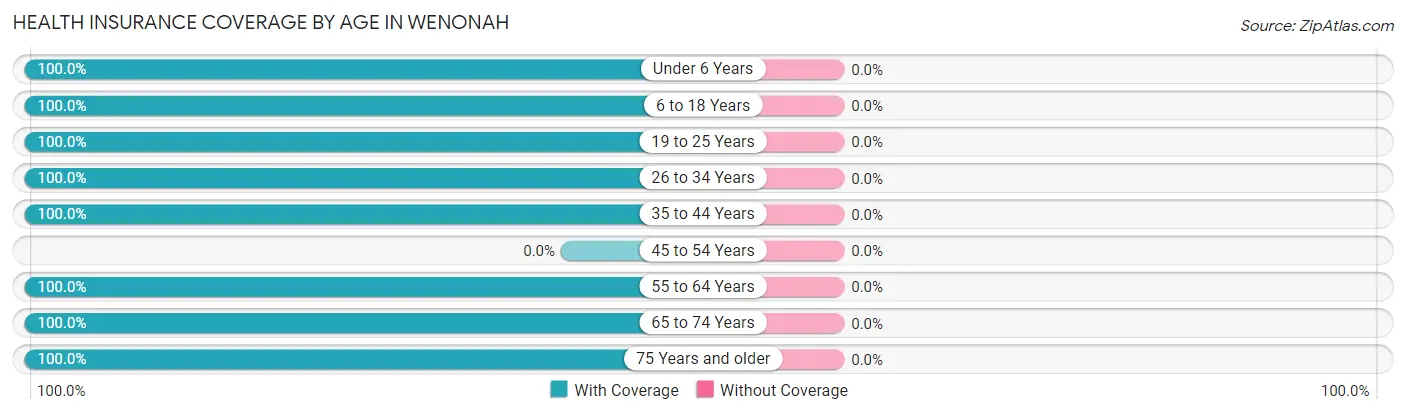 Health Insurance Coverage by Age in Wenonah
