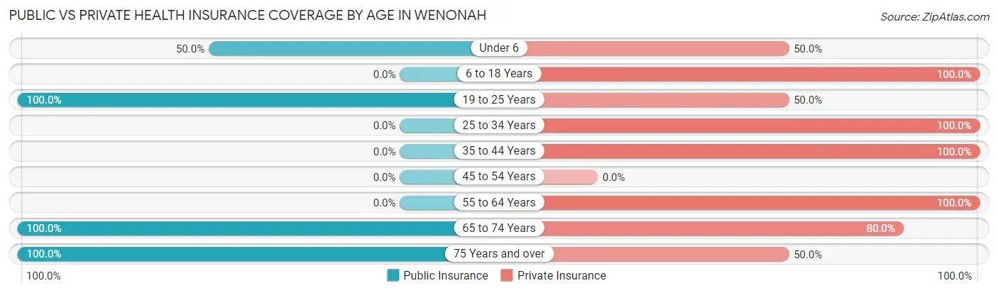 Public vs Private Health Insurance Coverage by Age in Wenonah
