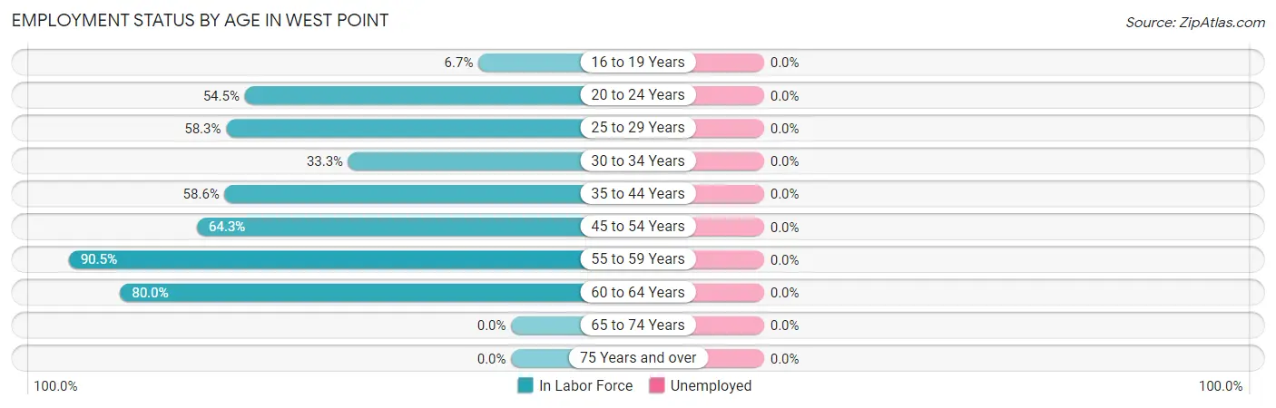 Employment Status by Age in West Point