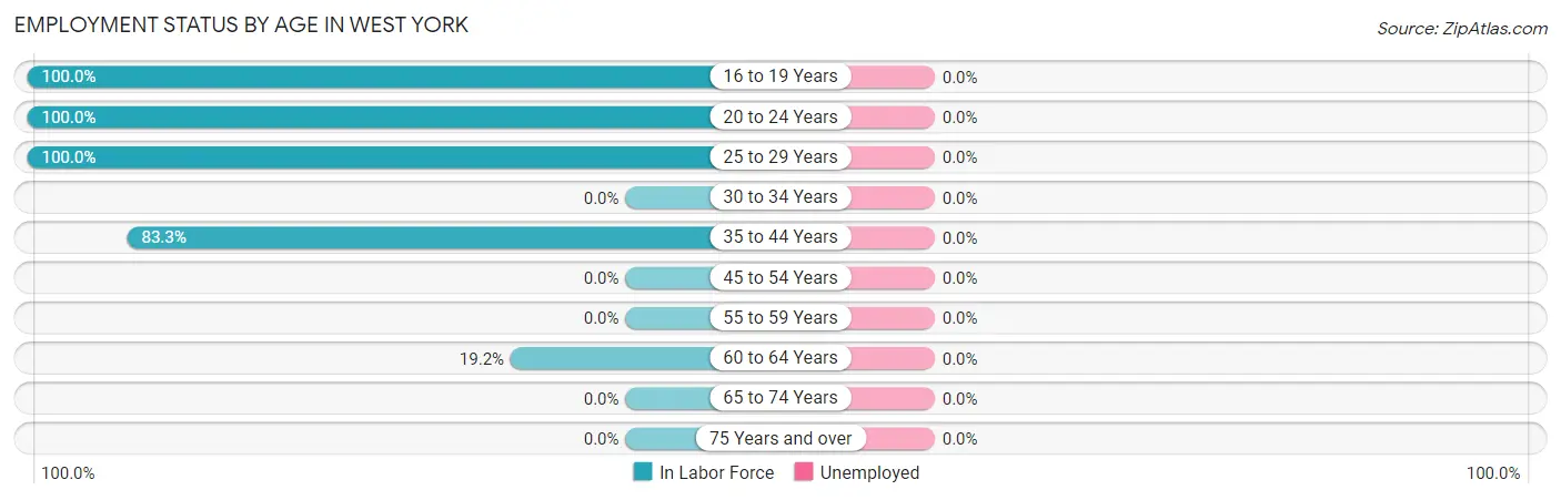 Employment Status by Age in West York