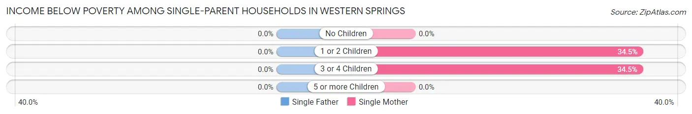 Income Below Poverty Among Single-Parent Households in Western Springs