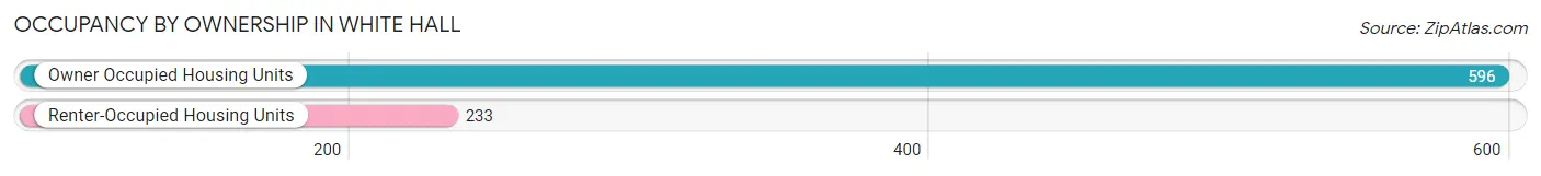 Occupancy by Ownership in White Hall