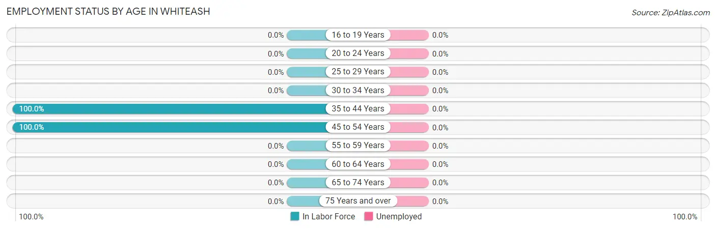 Employment Status by Age in Whiteash