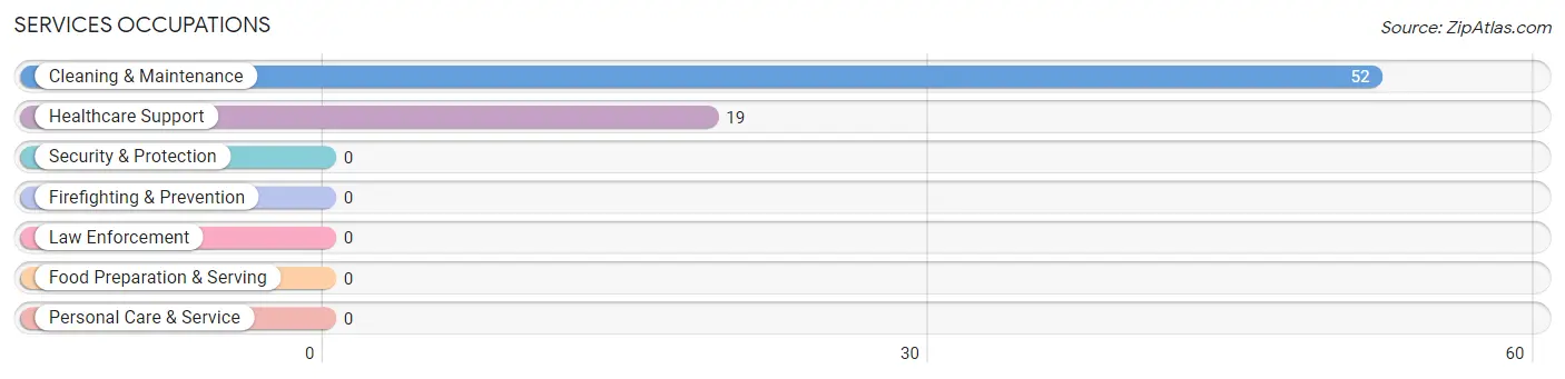 Services Occupations in Willow Lake