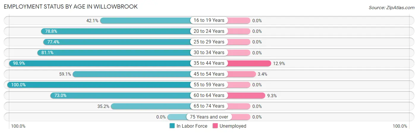 Employment Status by Age in Willowbrook
